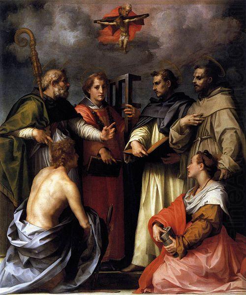Andrea del Sarto Disputation on the Trinity china oil painting image